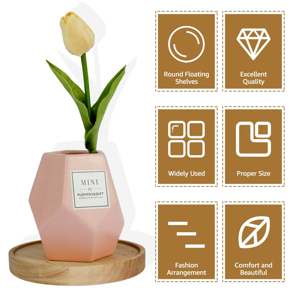 3/6Pcs Wooden Wall Mounted Display Shelf Oak Wood round Wall Shelves Floating Plant Flower Pot Tray Racks for Home Decoration